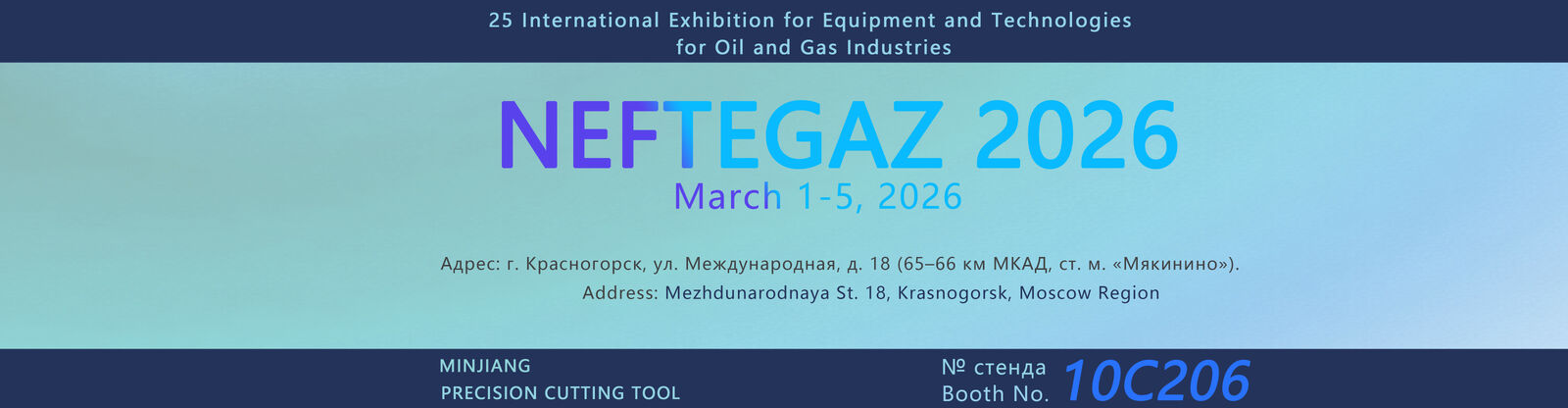 Piezas del carburo de tungsteno